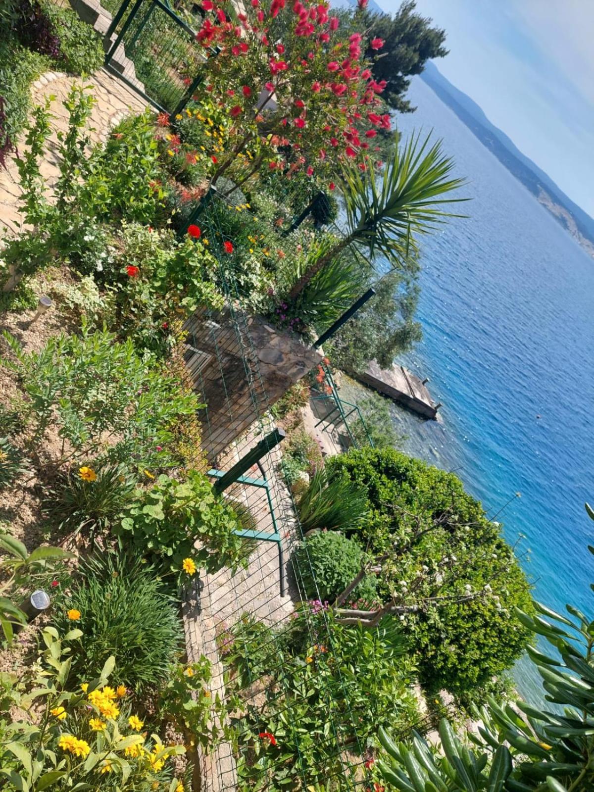 Apartment Toncica Omis Exterior photo
