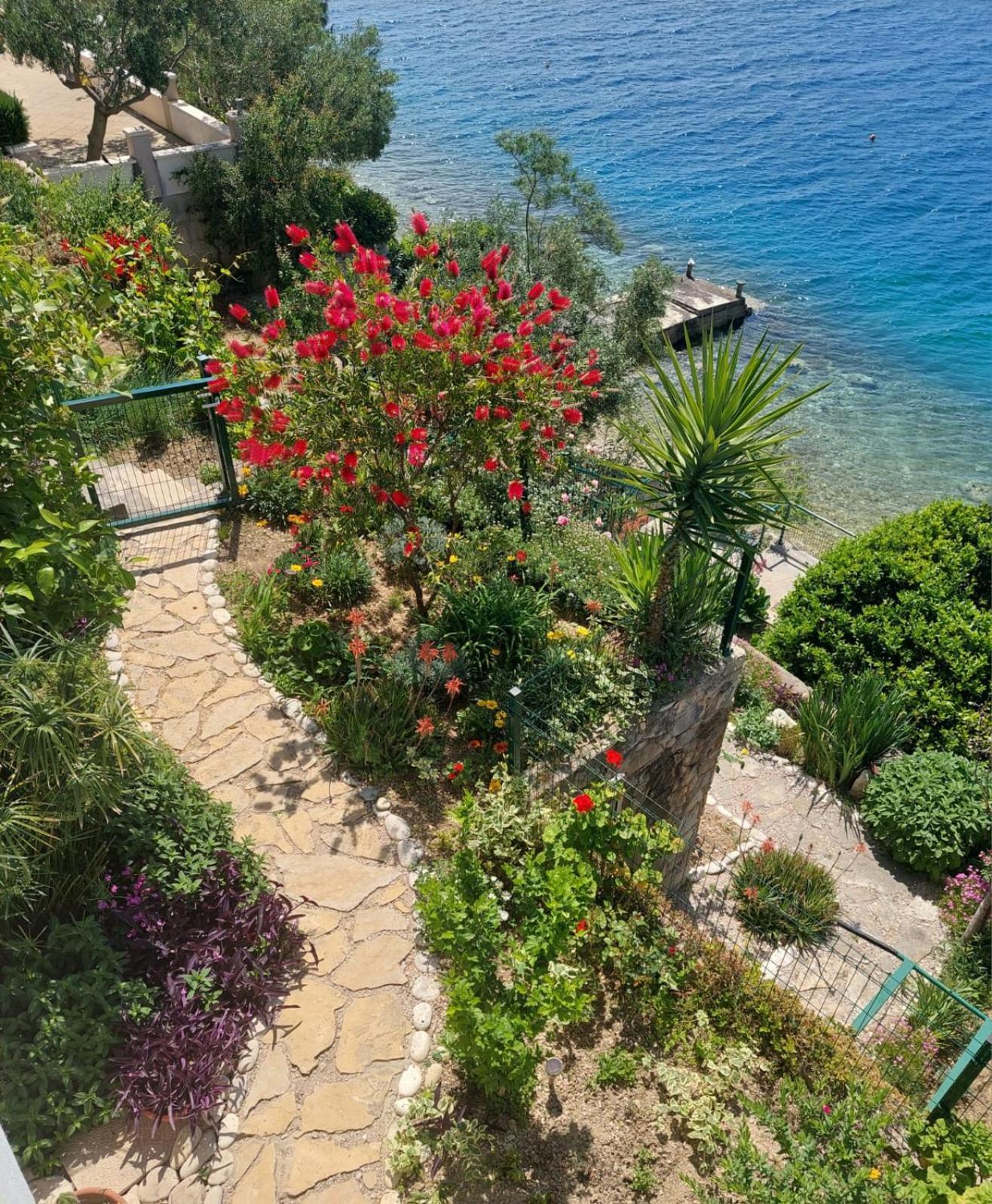 Apartment Toncica Omis Exterior photo